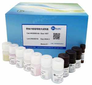 荧光六标信号放大试剂盒（石蜡切片适用）