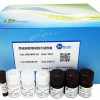 荧光双标信号放大试剂盒（冰冻切片、细胞爬片适用）
