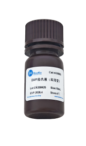DAPI(即用型）