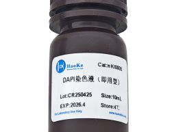 DAPI(即用型）