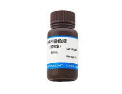 DAPI(即用型）