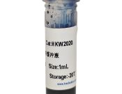 SDS-PAGE蛋白上樣緩沖液（5X）