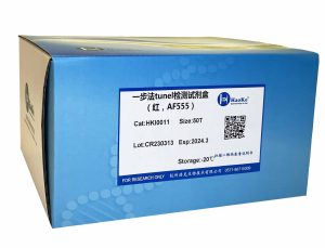 一步法TUNEL细胞凋亡检测试剂盒（红，AF555)