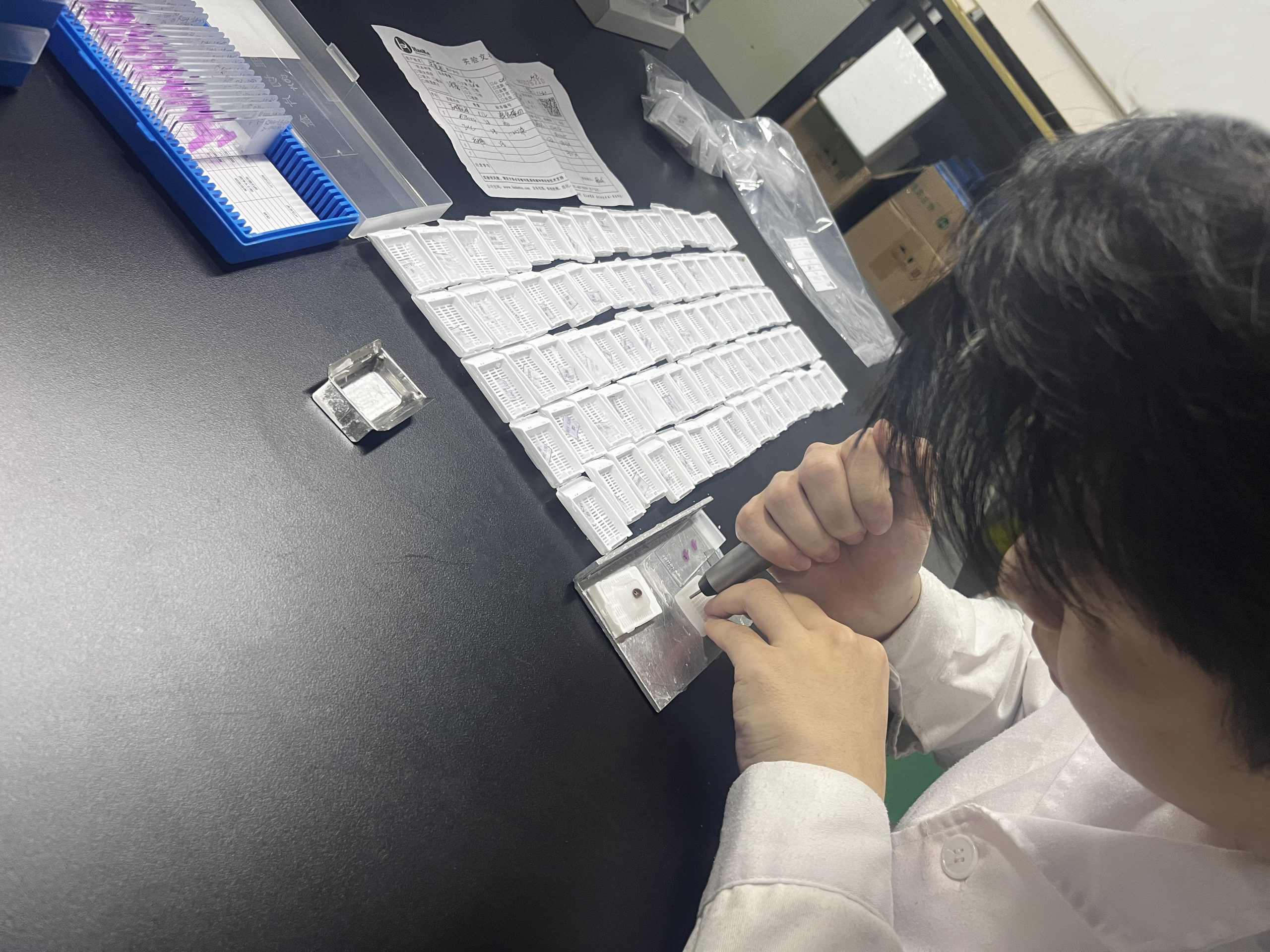 受體蠟塊 受體蠟塊