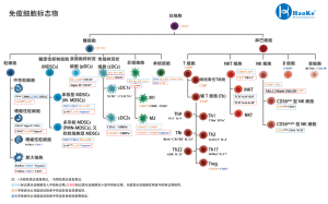 免疫细胞标记物整理