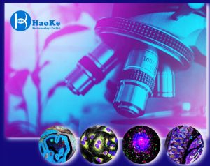 浩克生物免疫组化白皮书