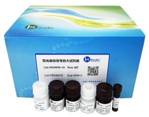 荧光单标信号放大试剂盒（石蜡切片适用）