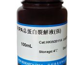 RIPA總蛋白裂解液（強）