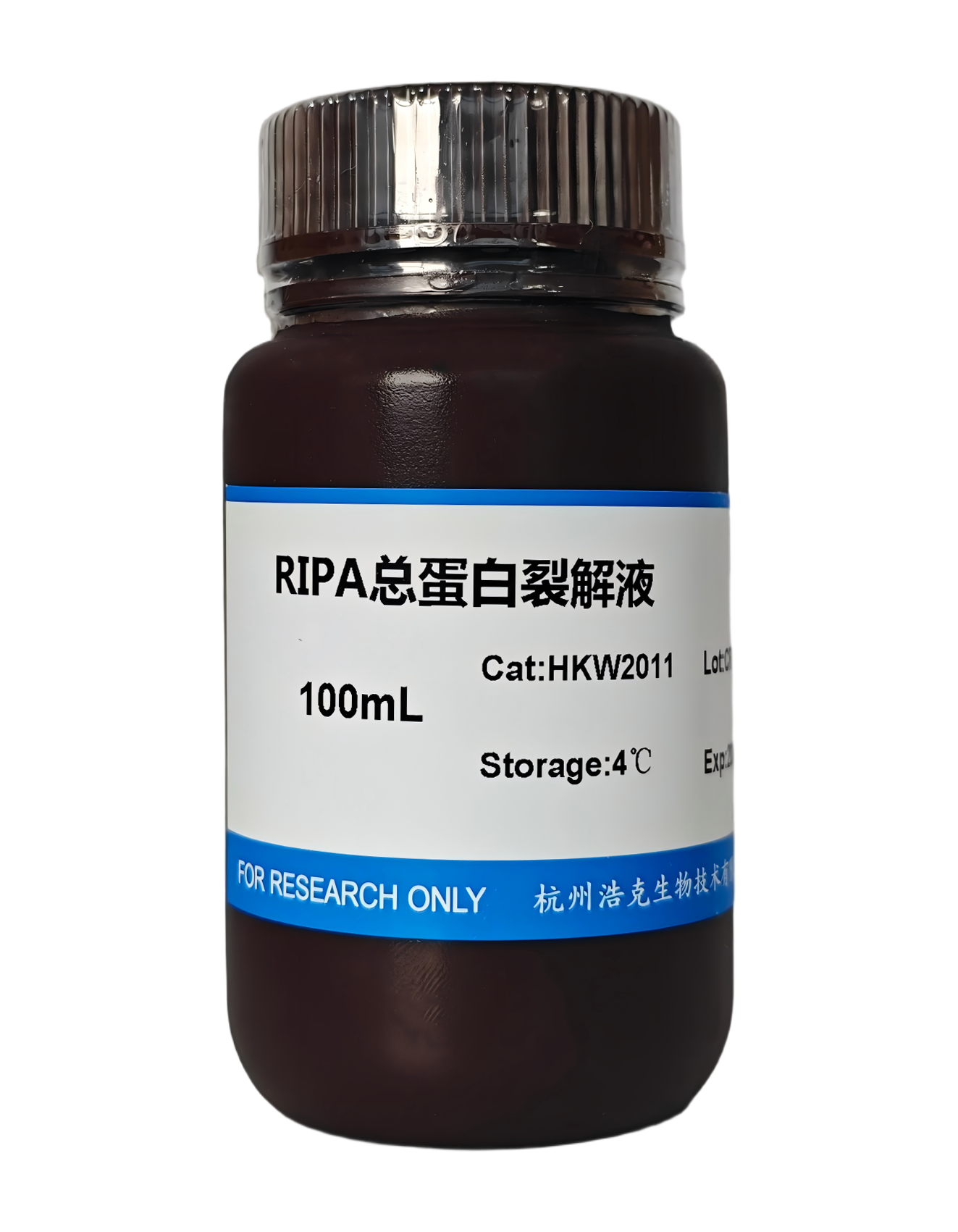 RIPA 總蛋白裂解液（中）